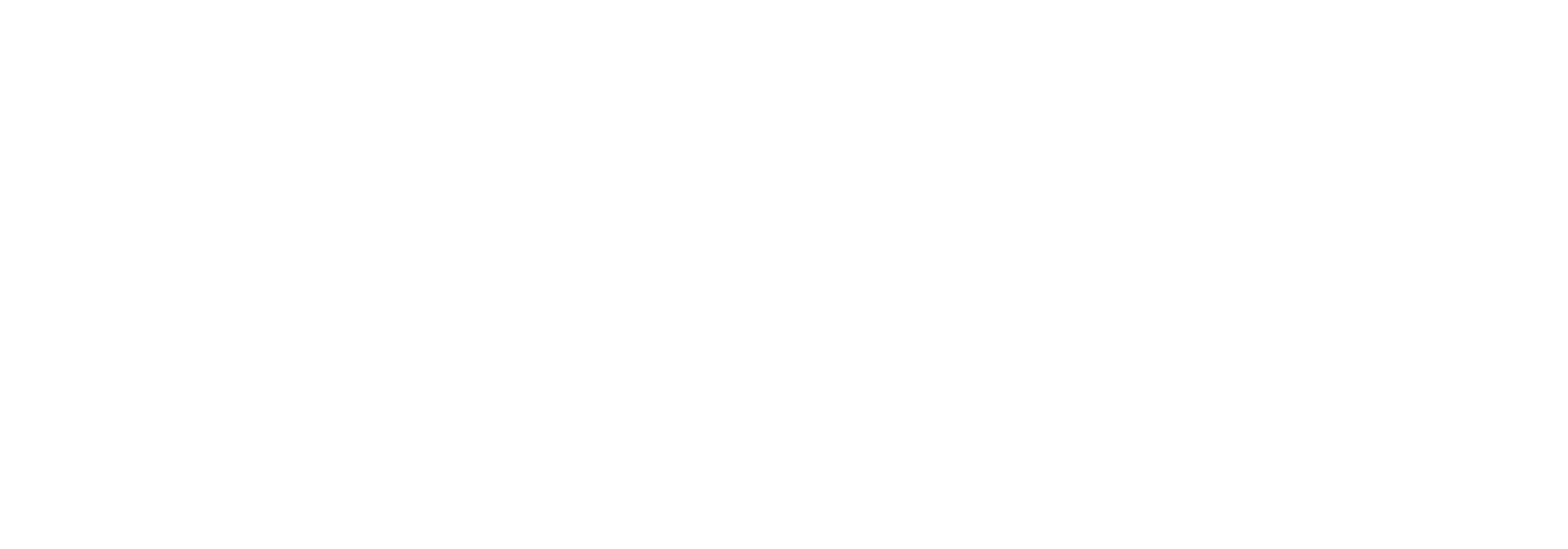 Fast Track Advance Logo